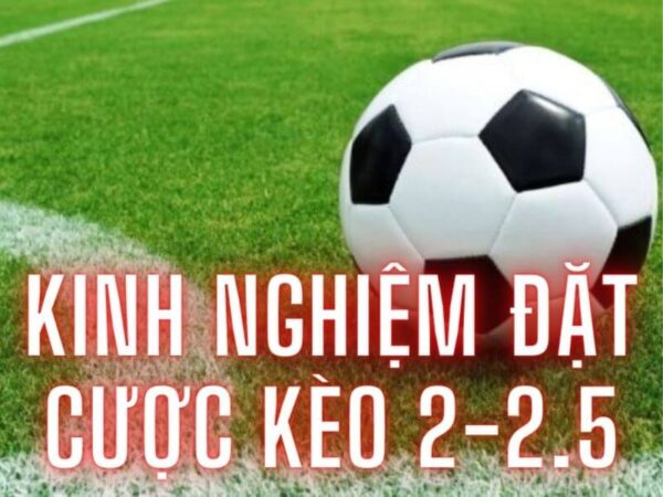 Tip chơi kèo tài xỉu 2 2.5 hay, dễ thắng Tip chơi kèo tài xỉu 2 2.5 hay, dễ thắng